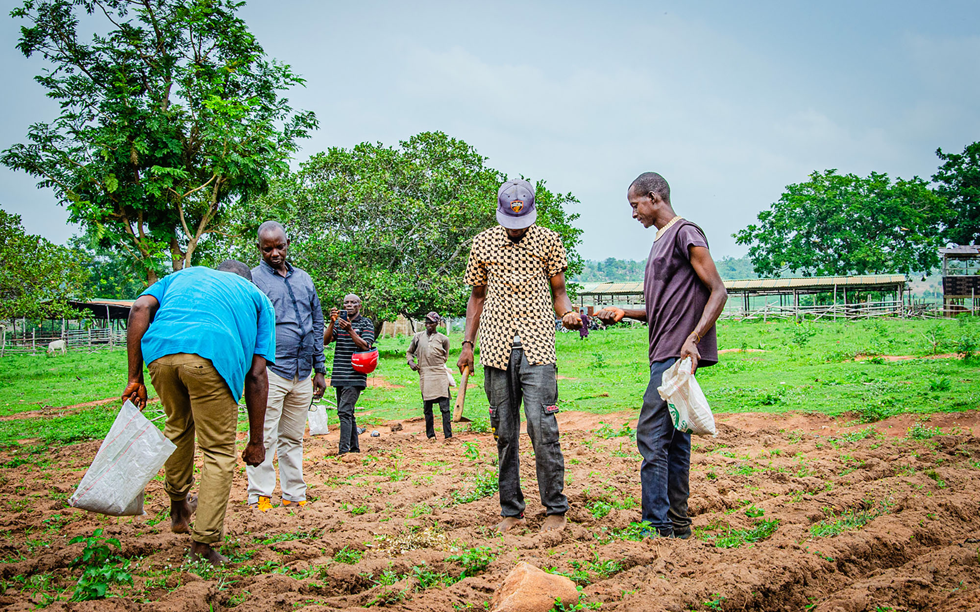Component 1: Strengthening National Livestock Institutions